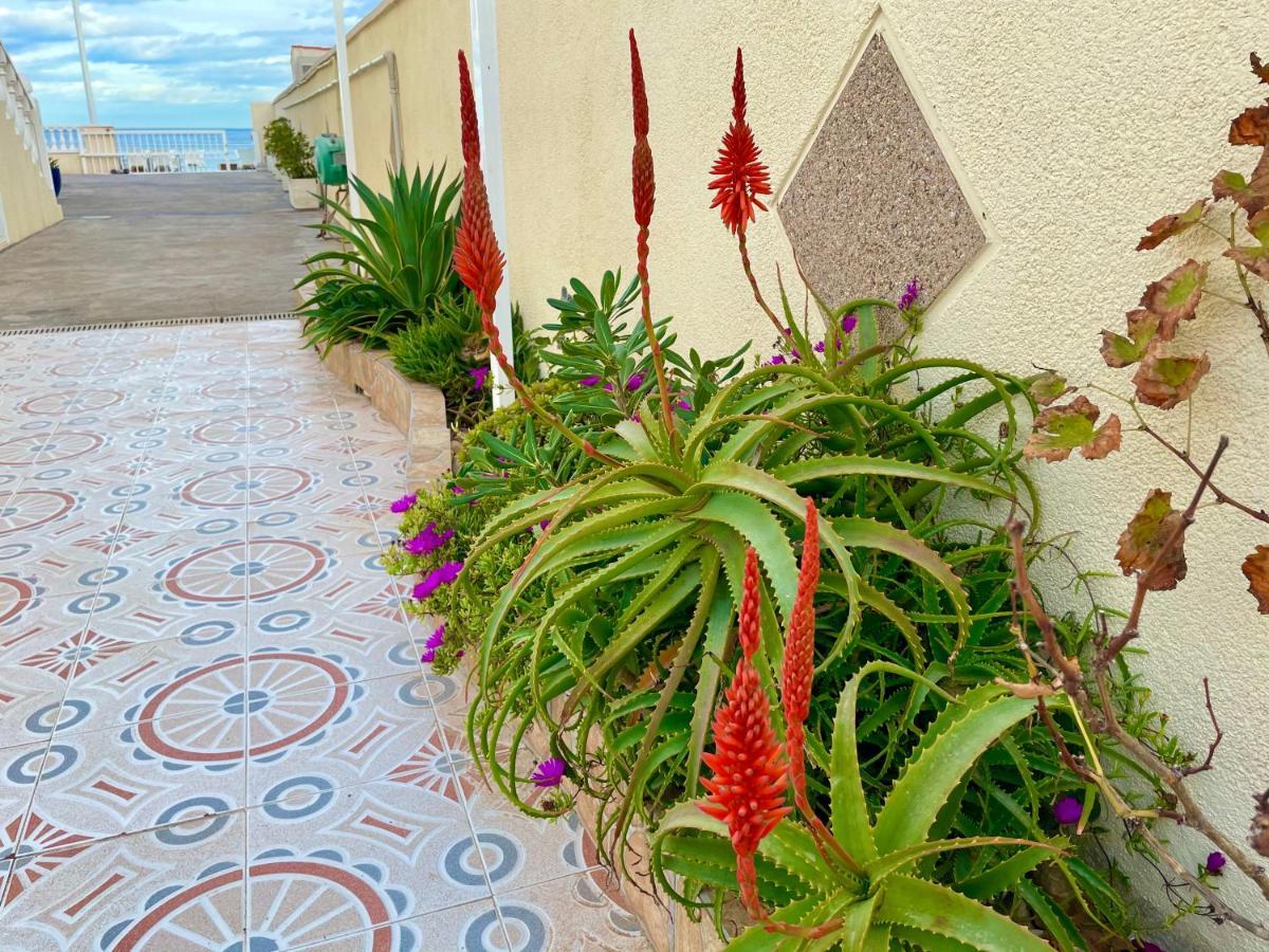 לה מאטה Royal Beach House Vista Mar מראה חיצוני תמונה